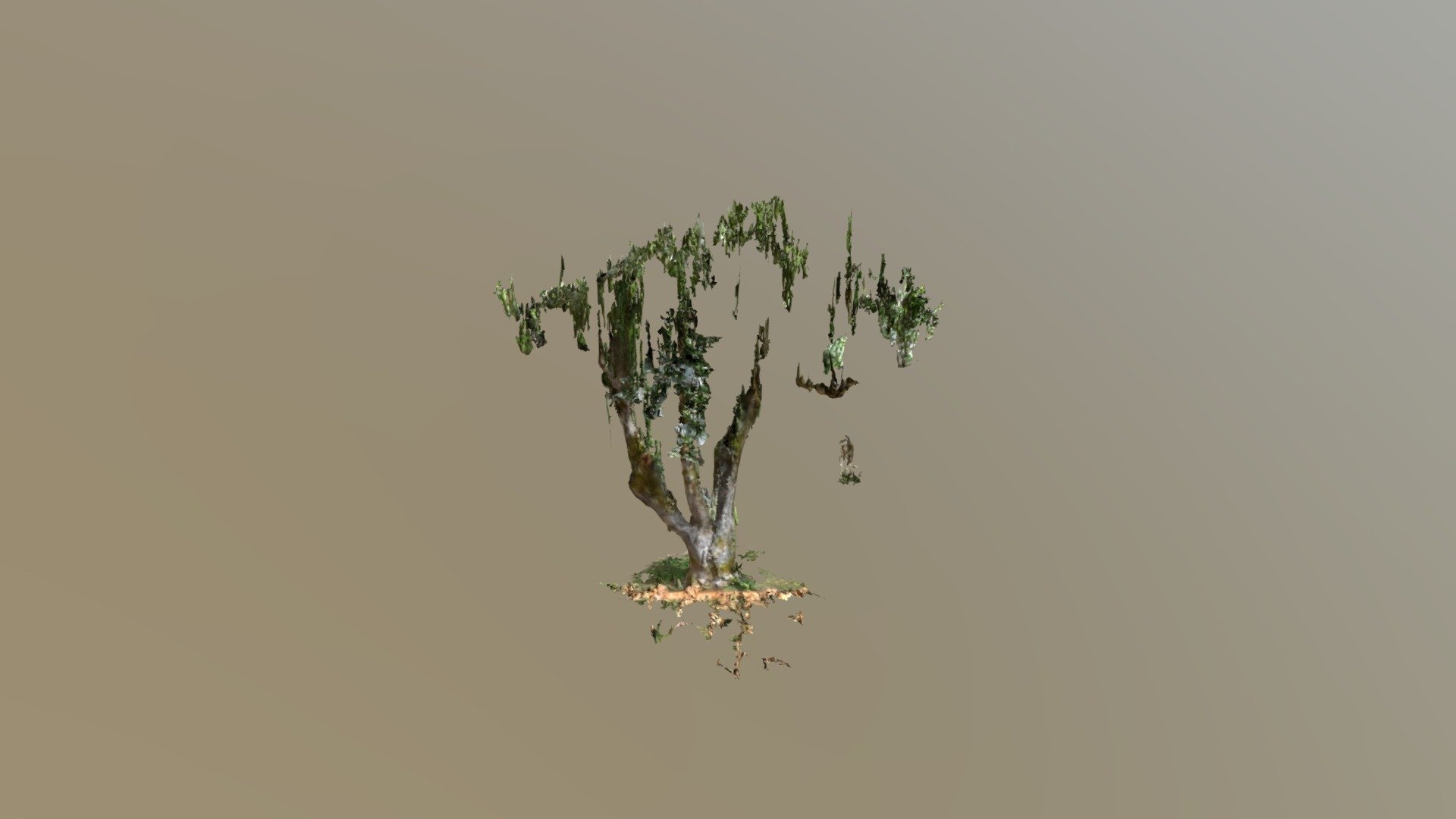 Upload treehouse
