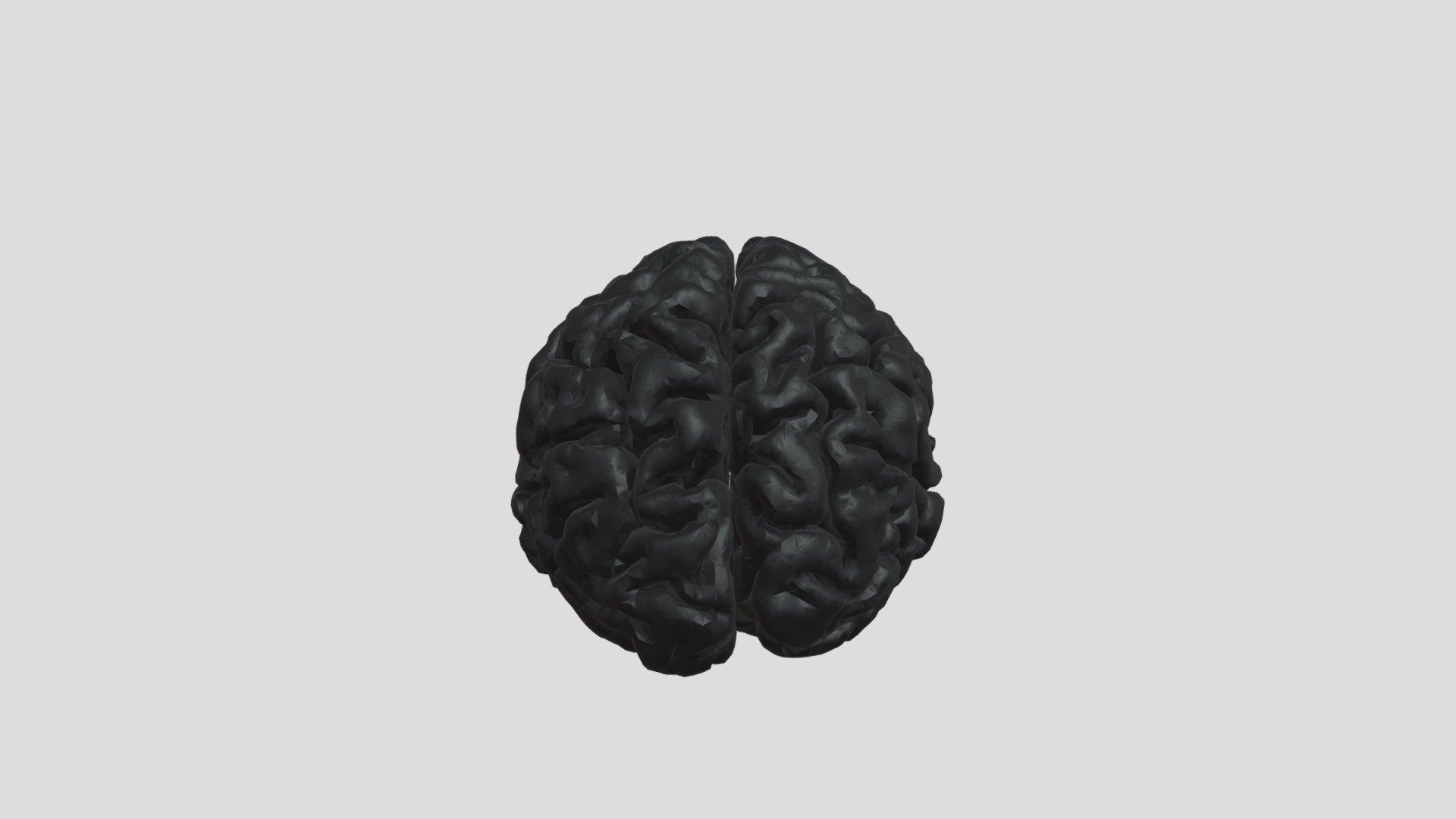brain-1-no-cerebellum - 3D model by foxic (@noreplysehriyooculus ...