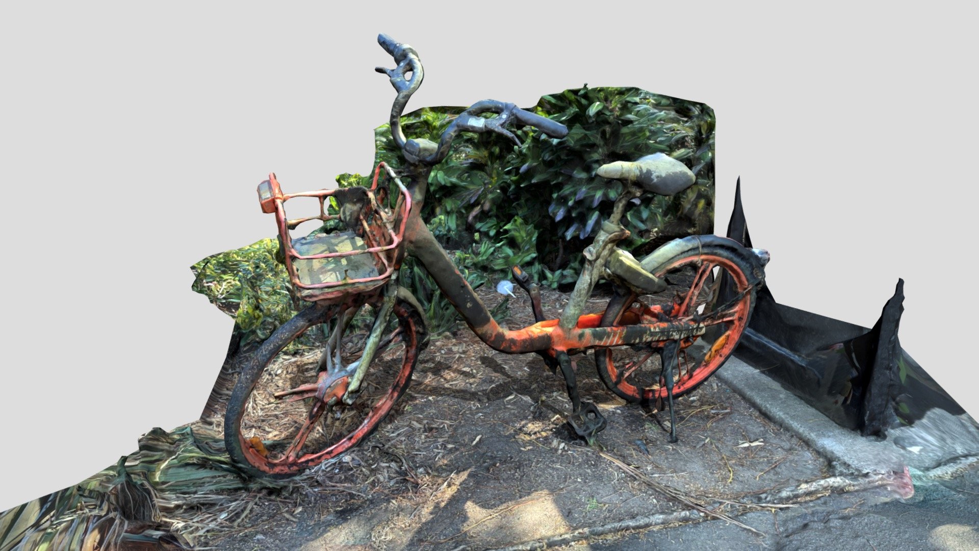 BIKE FROM LAKE