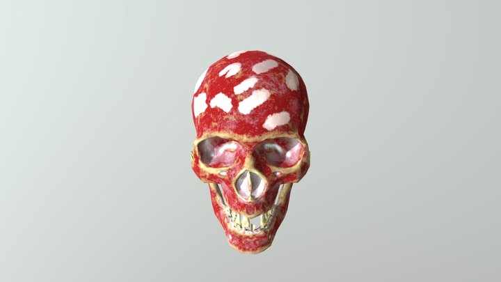 Low Res Skull 3D Model