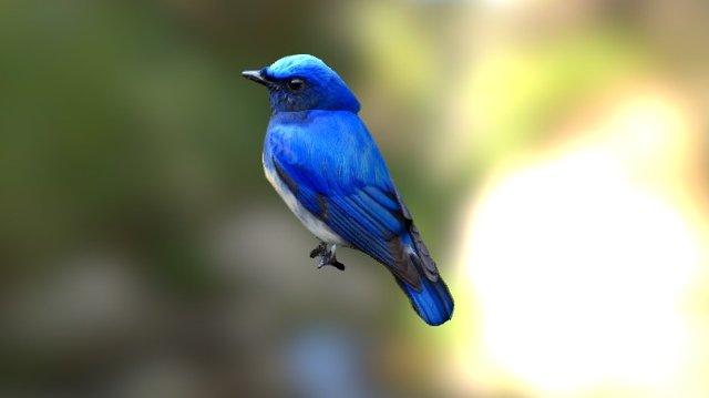 Smoothie-3D Bird 鳥 3D Model
