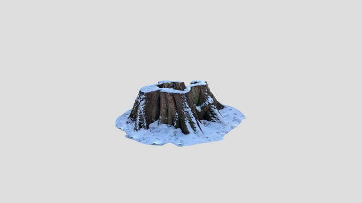 Tree Stump 3D Model