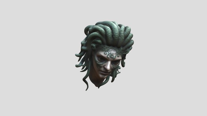 MEDUSA head model Test 01 3D Model