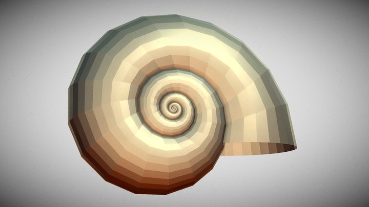 Ammonite 3D Model
