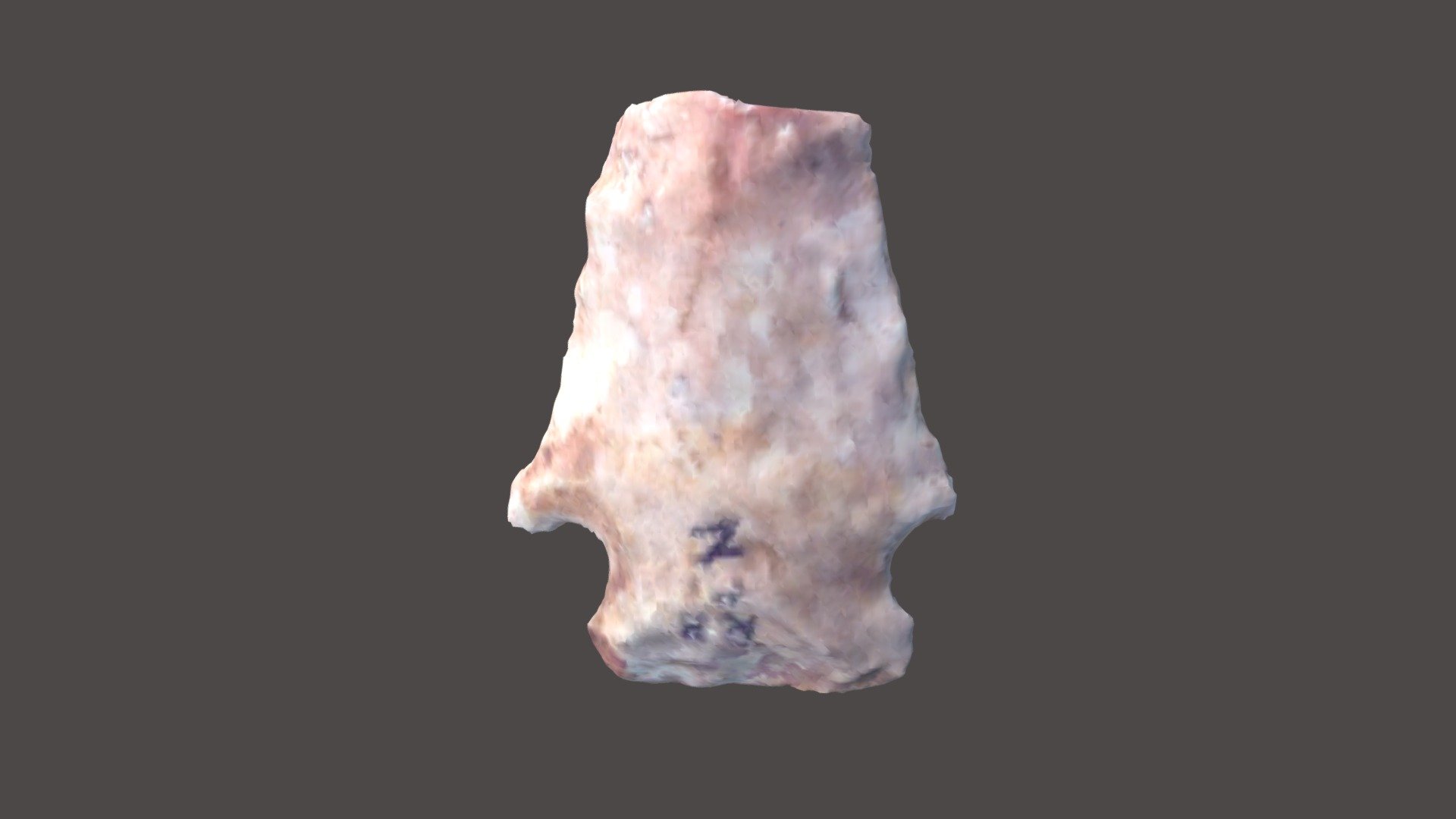COADS_10-345 — Sketchfab embed 3D viewer