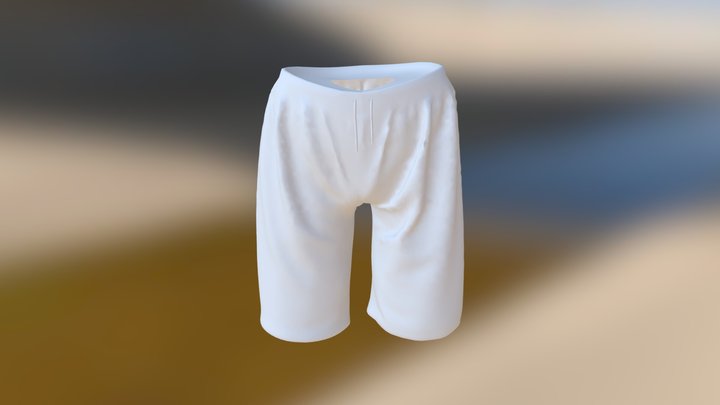 Swim Shorts 3D Model