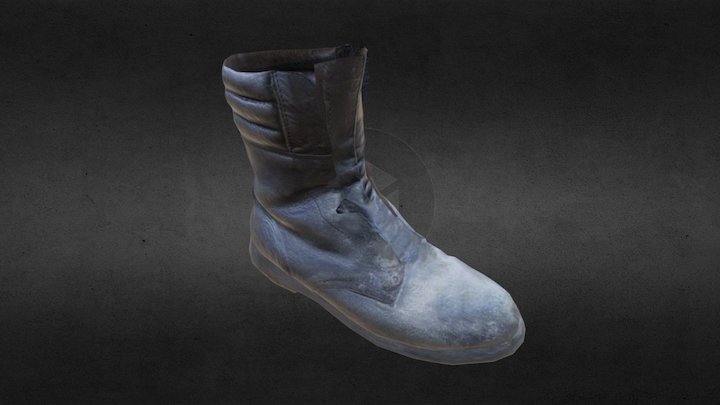 Shoe1 3D Model