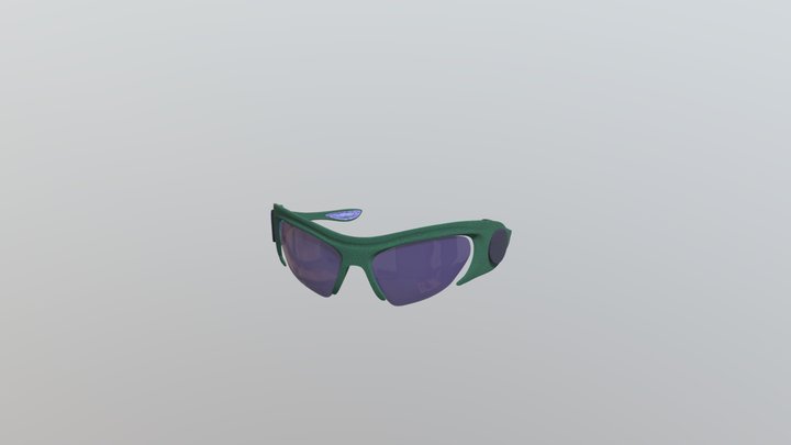 Sunglasses New Era 3D Model