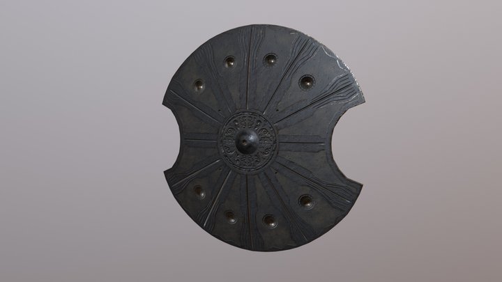Troy Shield 3D Model