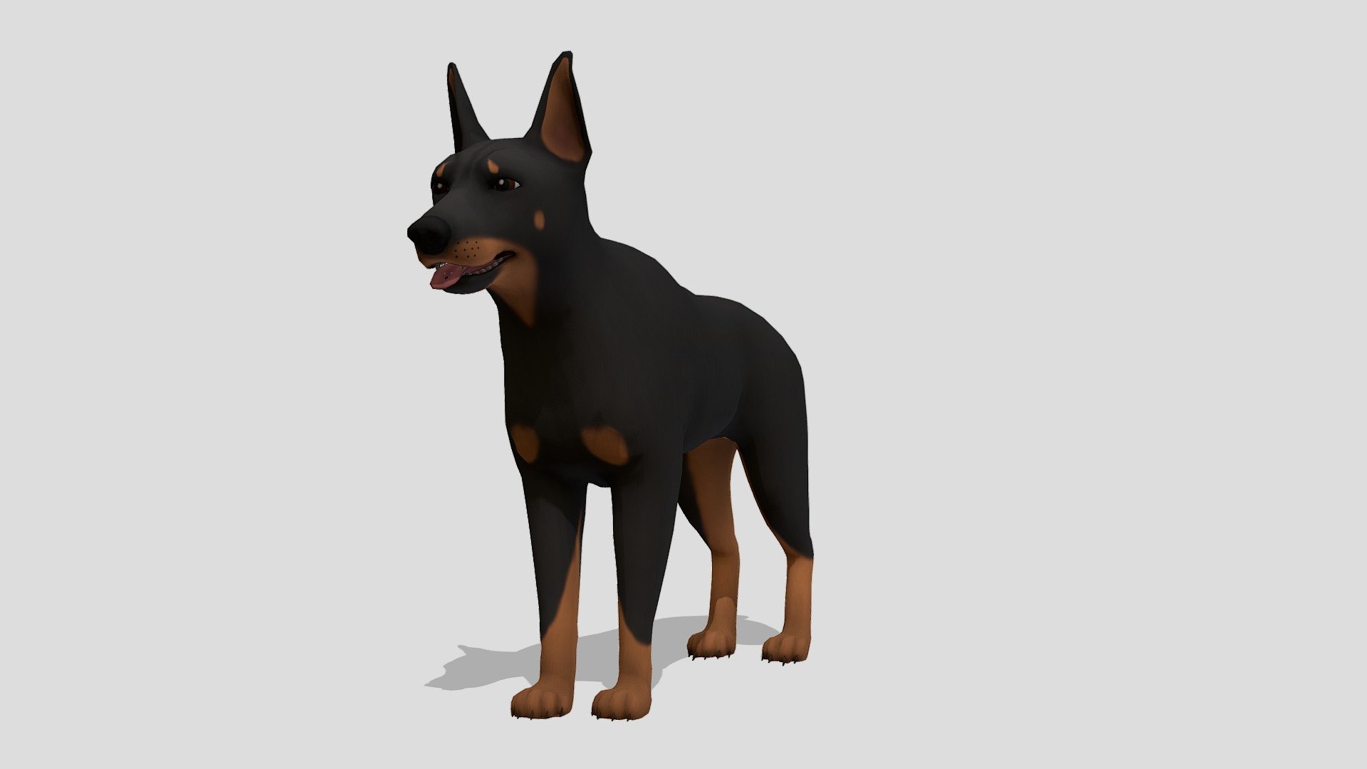 Doberman