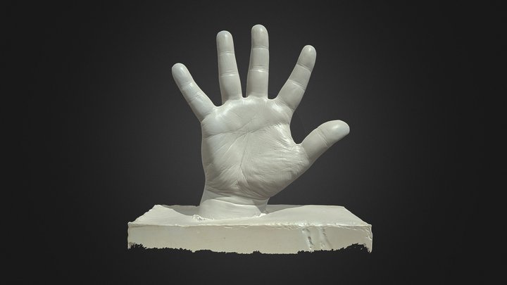 Hand Cast (Structured Light) 3D Model