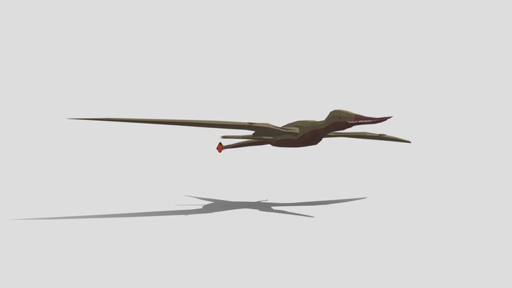 Rhamphorhynchus low poly 3D Model