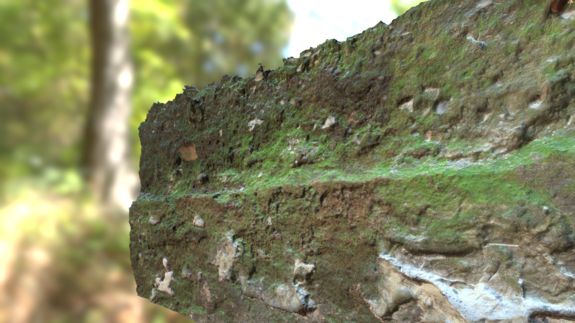 Mossy wall FREE