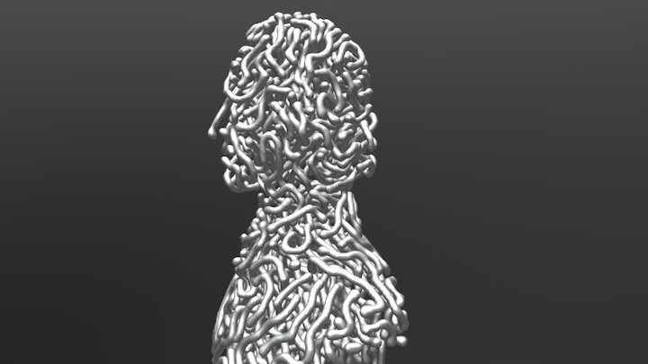 Reaction Diffusion Bust 3D Model