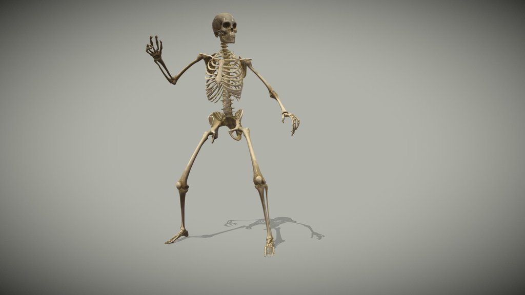 Animated Skeleton Casts Spell with Hands