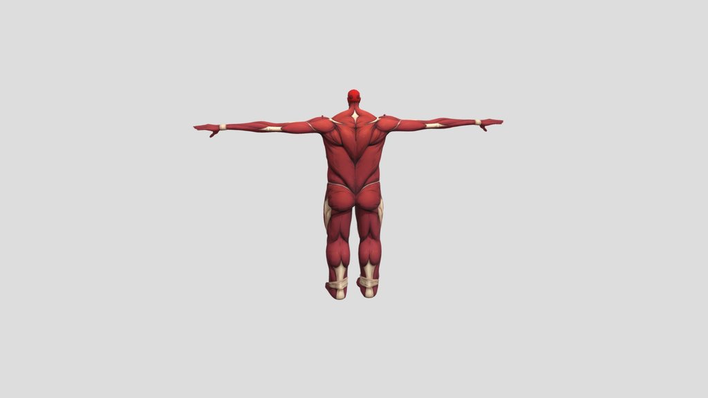 Aotwa_colossal_titan