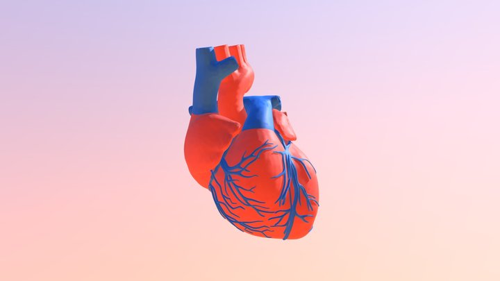 Heartbeat 3D Model