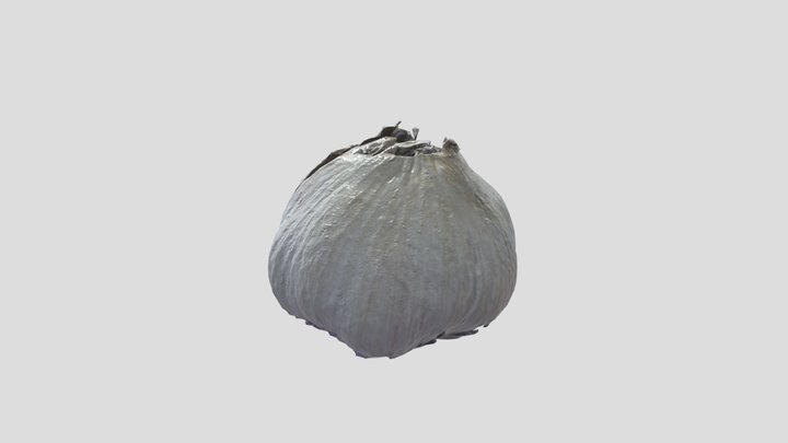 garlic 1 3D Model