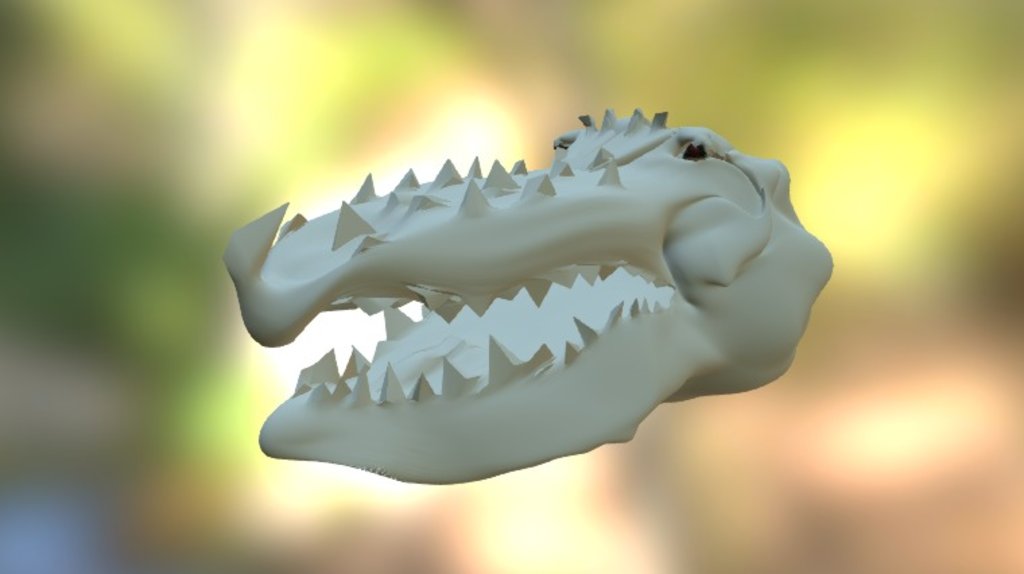 Dragon Head
