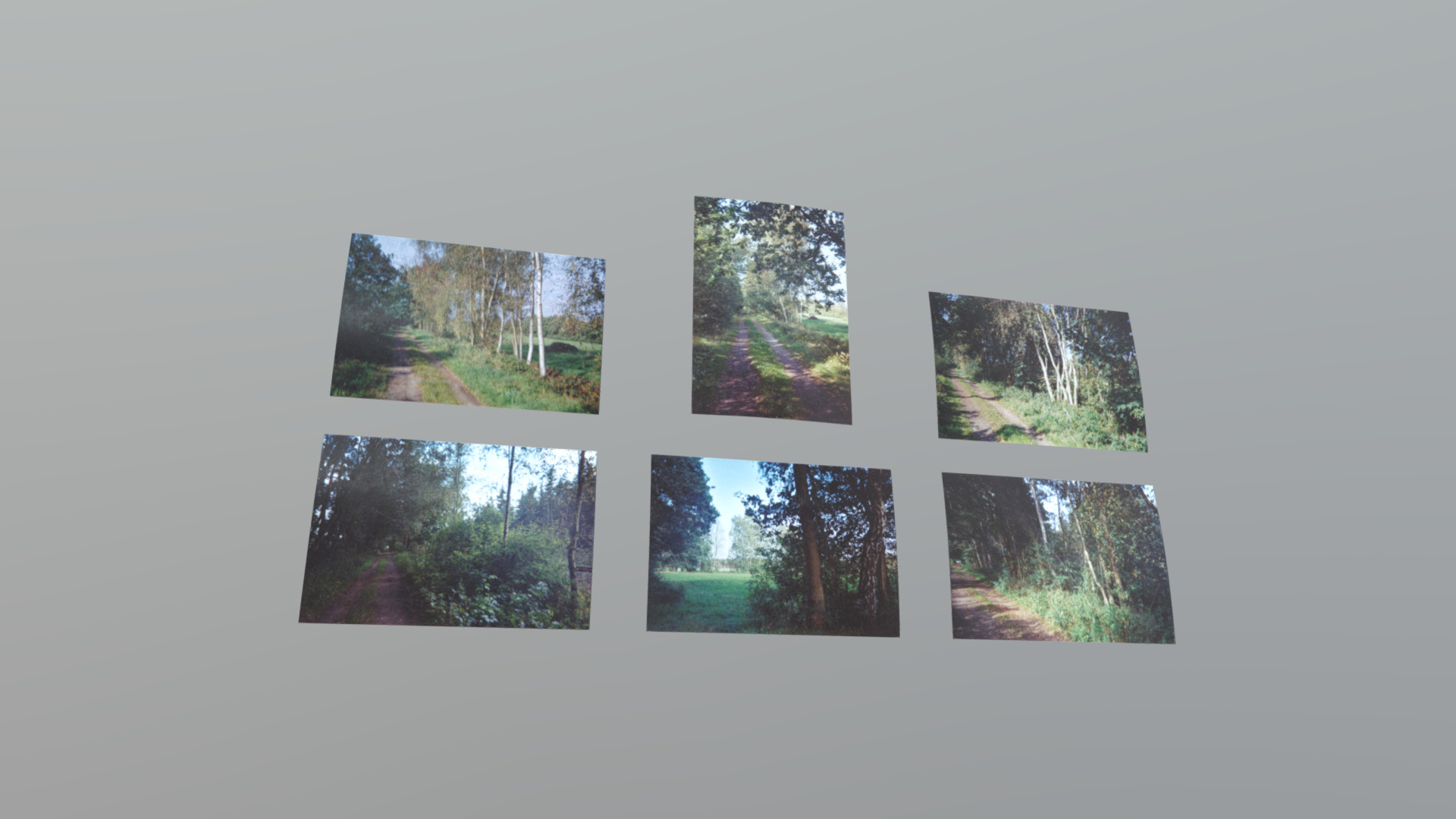 3D model Photos - This is a 3D model of the Photos. The 3D model is about a group of trees.