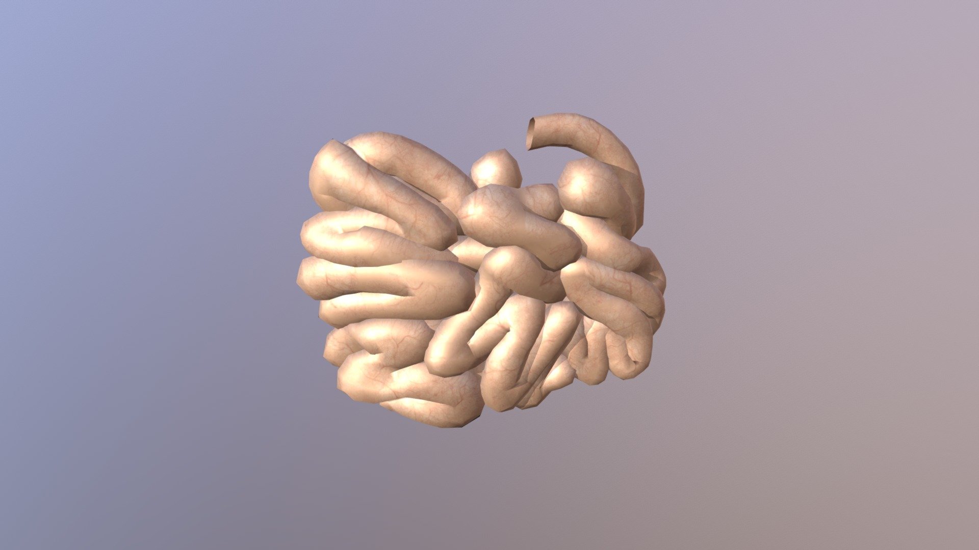 Small Intestine - 3D Model By Virtual Reality (@simulanis) [2b24045 ...