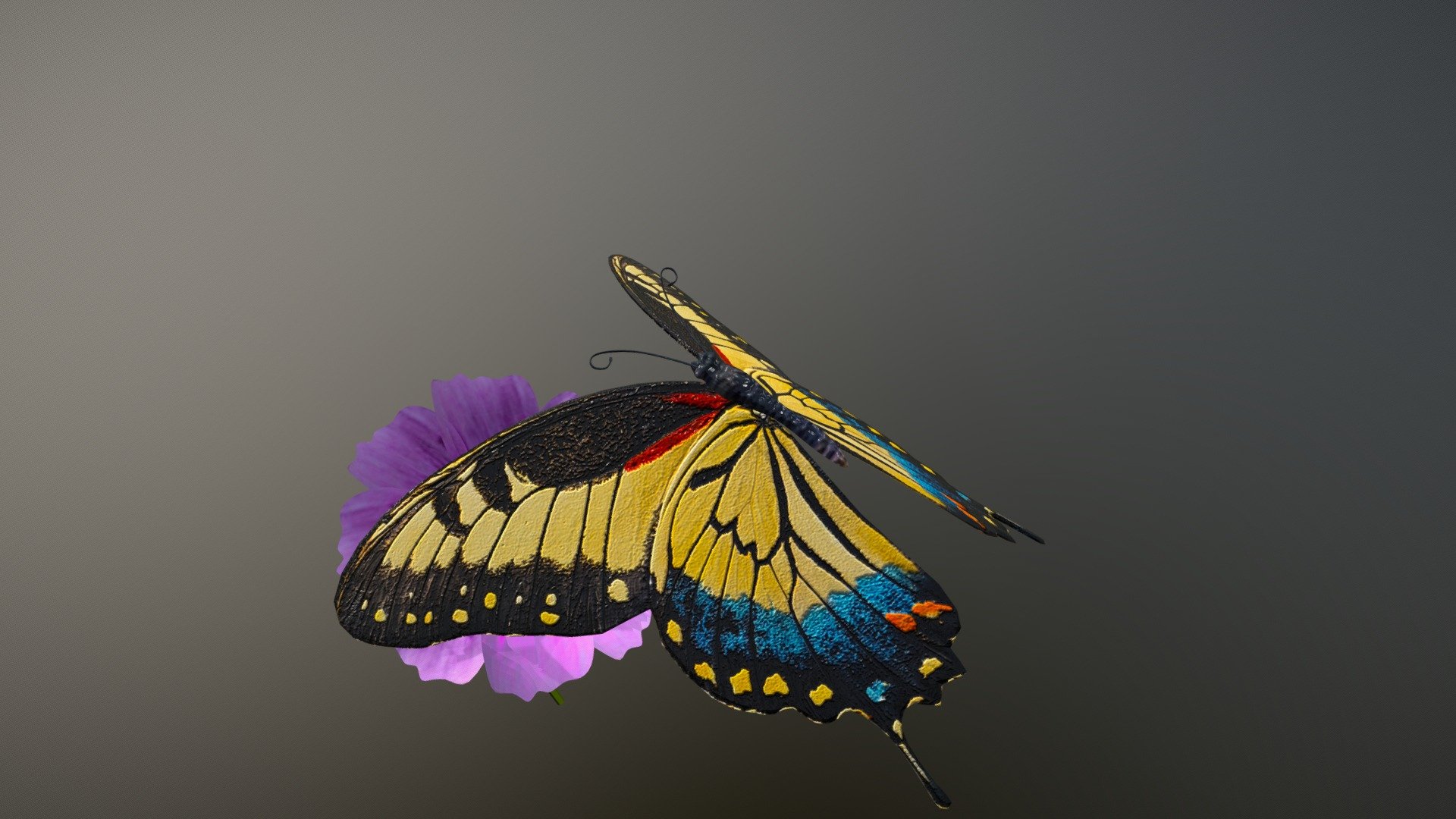 Butterfly and flower — Sketchfab embed 3D viewer