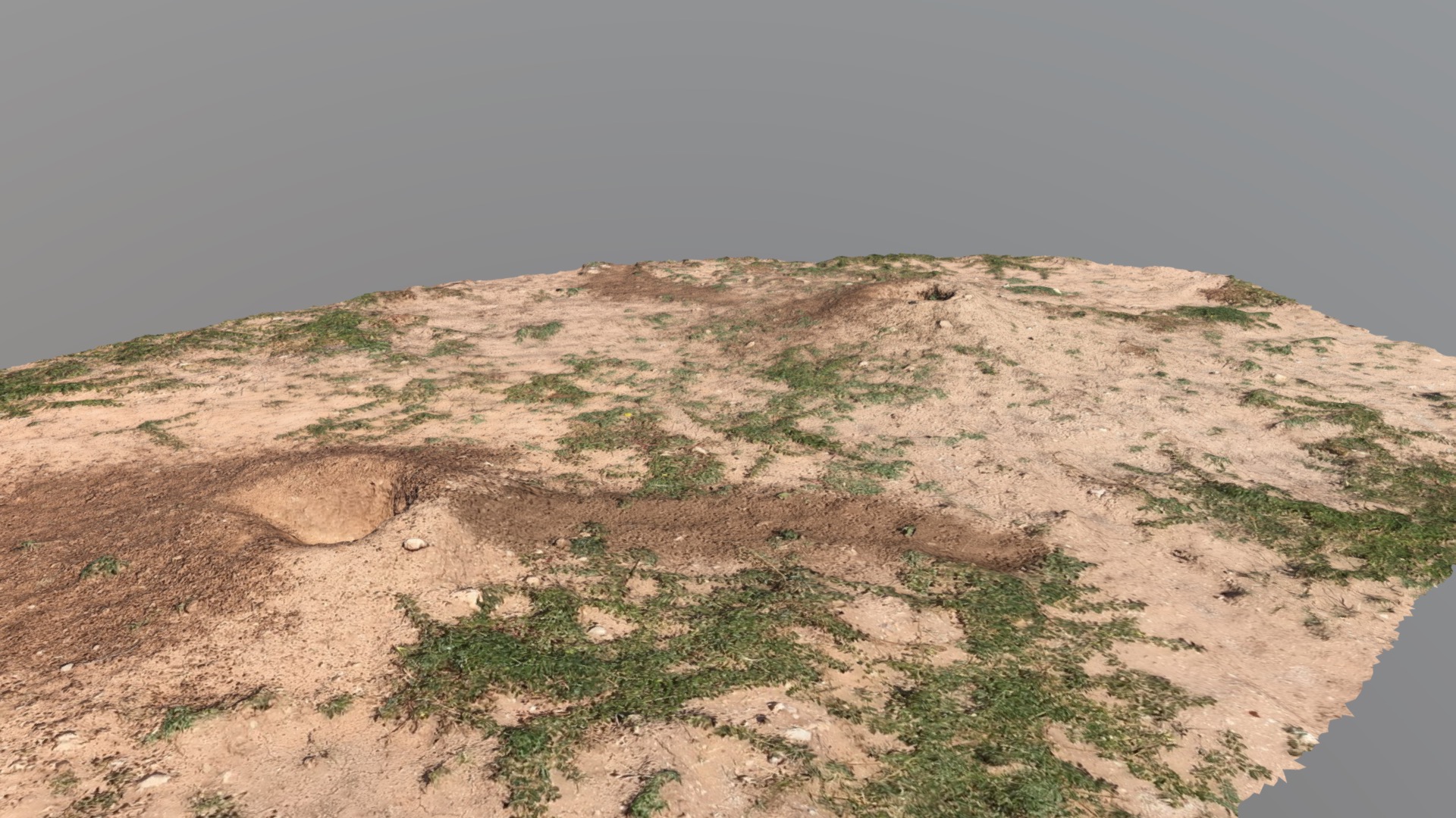 3D model Prairie Dog Holes Texas - This is a 3D model of the Prairie Dog Holes Texas. The 3D model is about a dirt hill with grass.