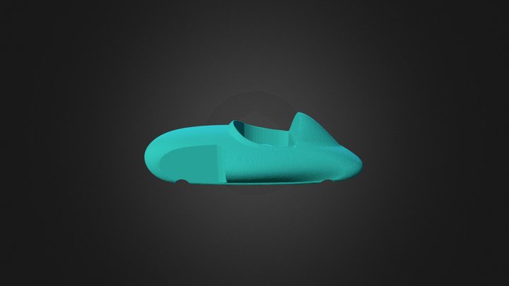 DF Buddyracer Fang 3D Model