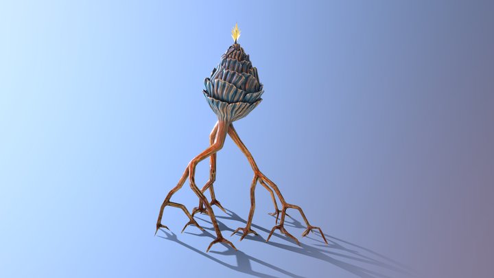 Korzeniowwa 3D Model