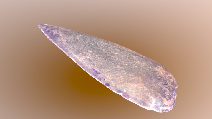 Slate Leaf Point 3D Model