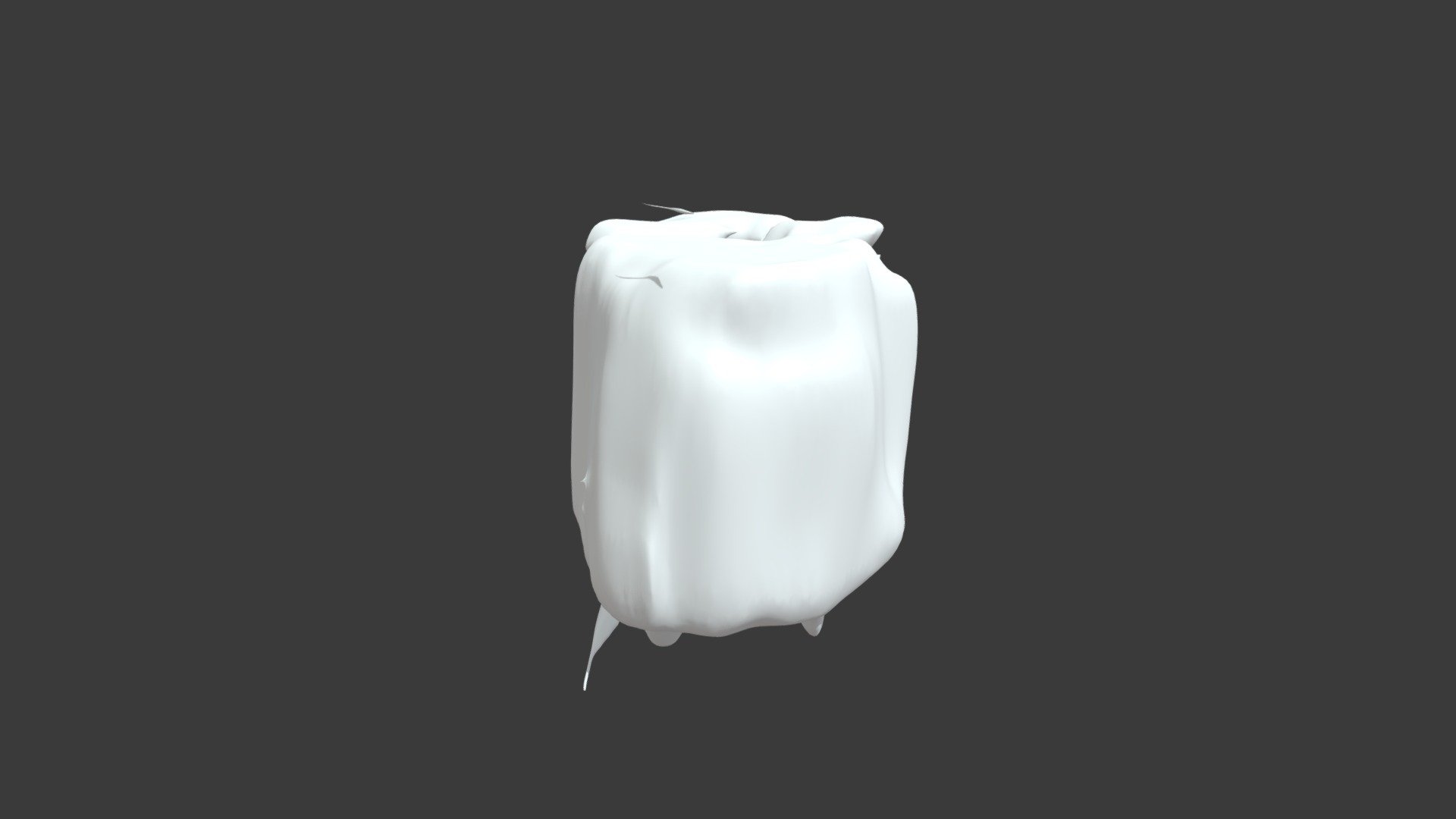 thoracic Vertebrae