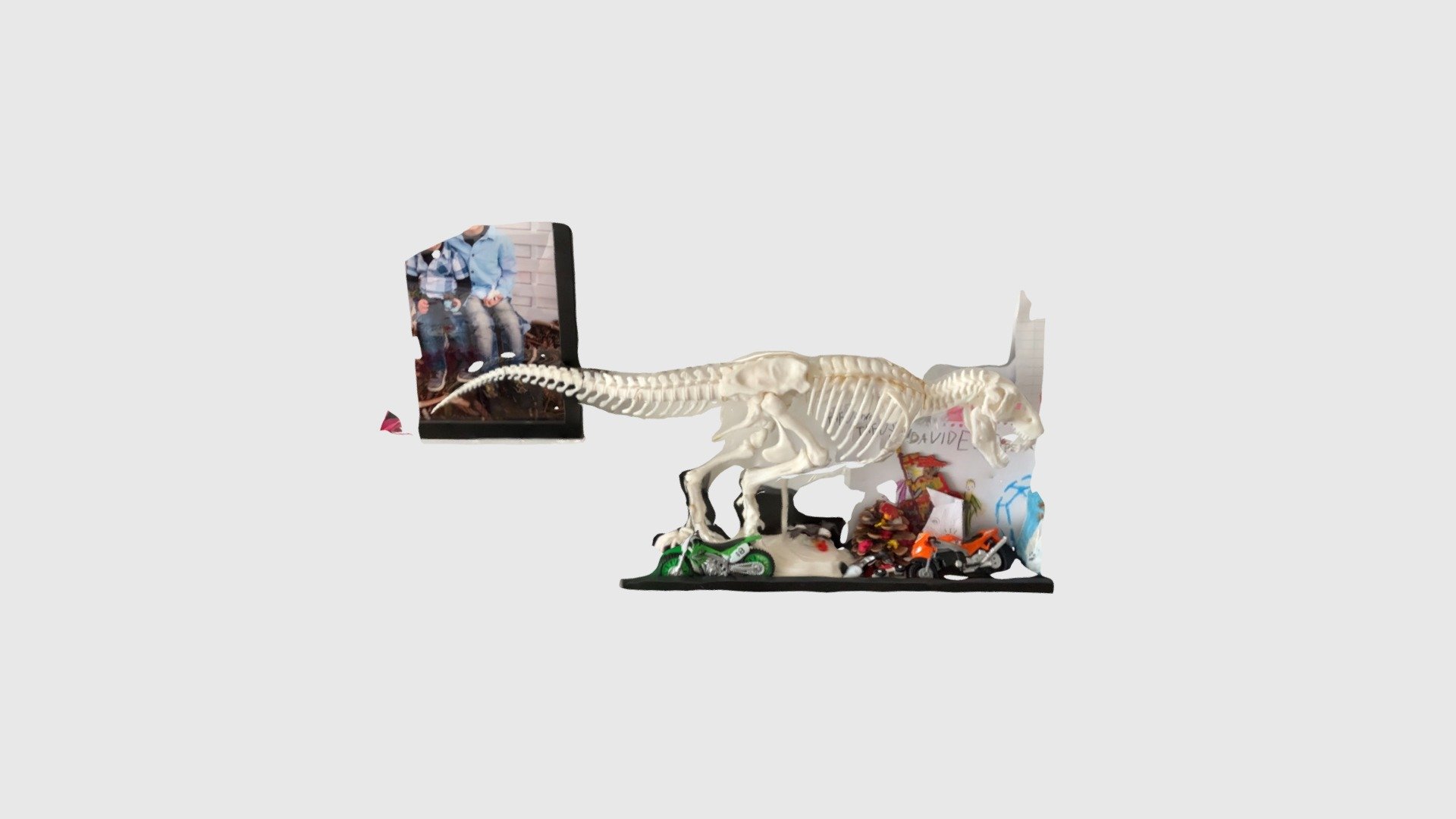 Rex 3