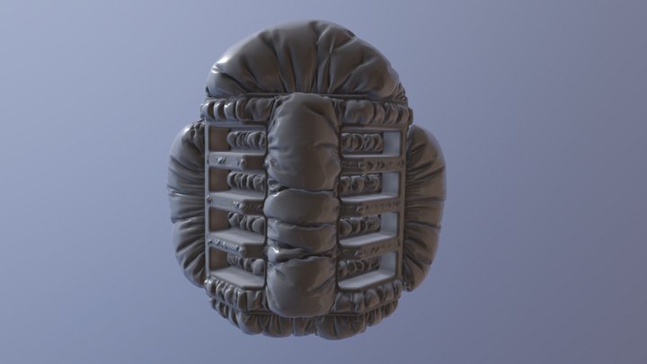Quicktest 3D Model