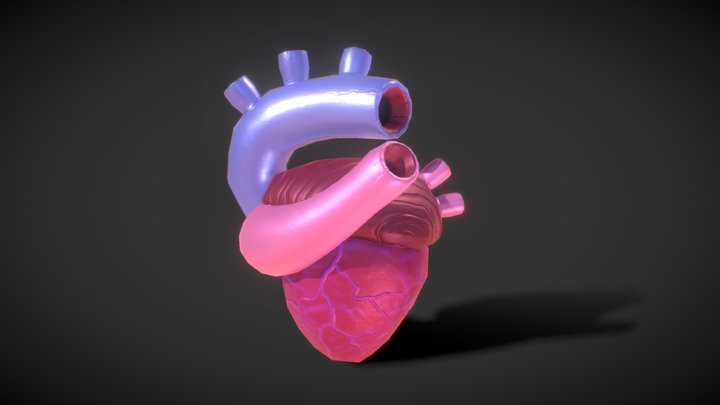 Heart 3D Model