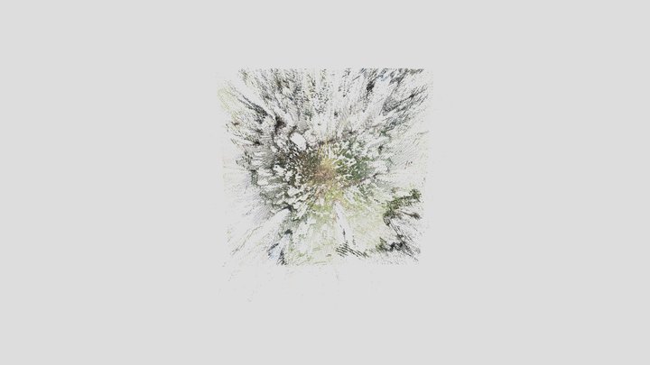 Tombstone_point_cloud 3D Model
