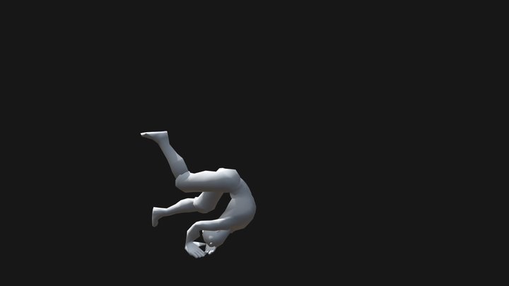 Roll Animation 3D Model