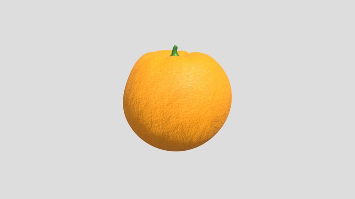 ORANGE 3D Model