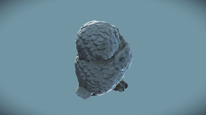 Owly 3D Model