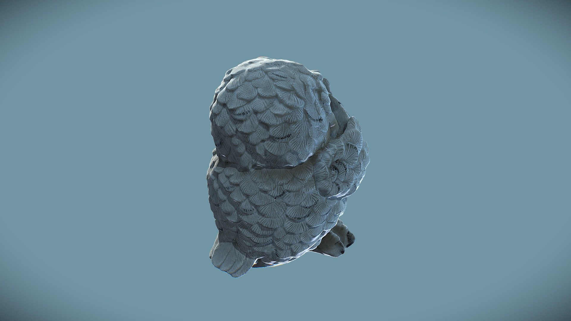 Owly