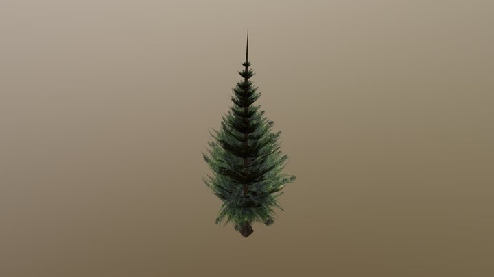Large Spruce Tree 3D Model