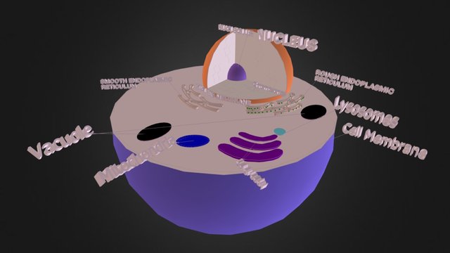 cell final 3D Model