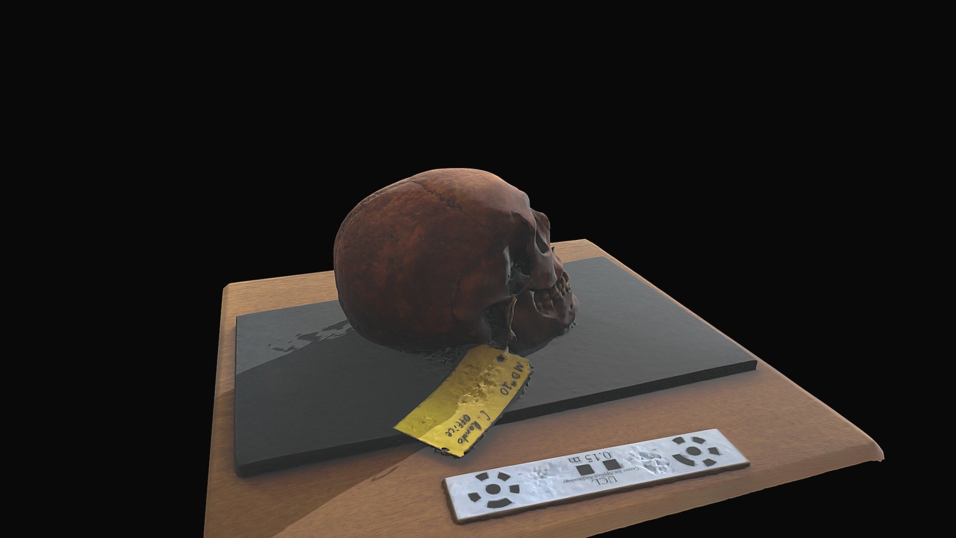 Skull 13