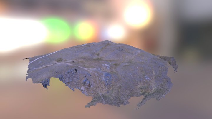 Old Man Range: Mid slope 3D Model
