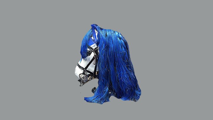 Bluejay Pony Hood 3D Model