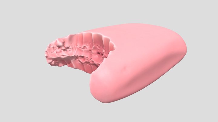 bite marked soap 3D Model