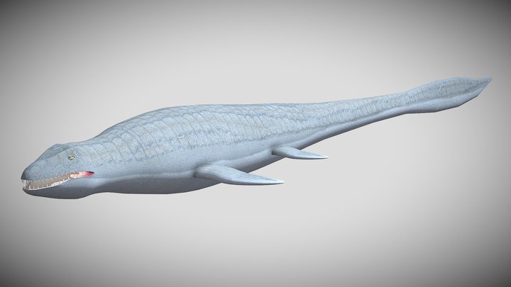 SharkBite Classic's Mosasaurus – Kostenloses 3D-Modell STL