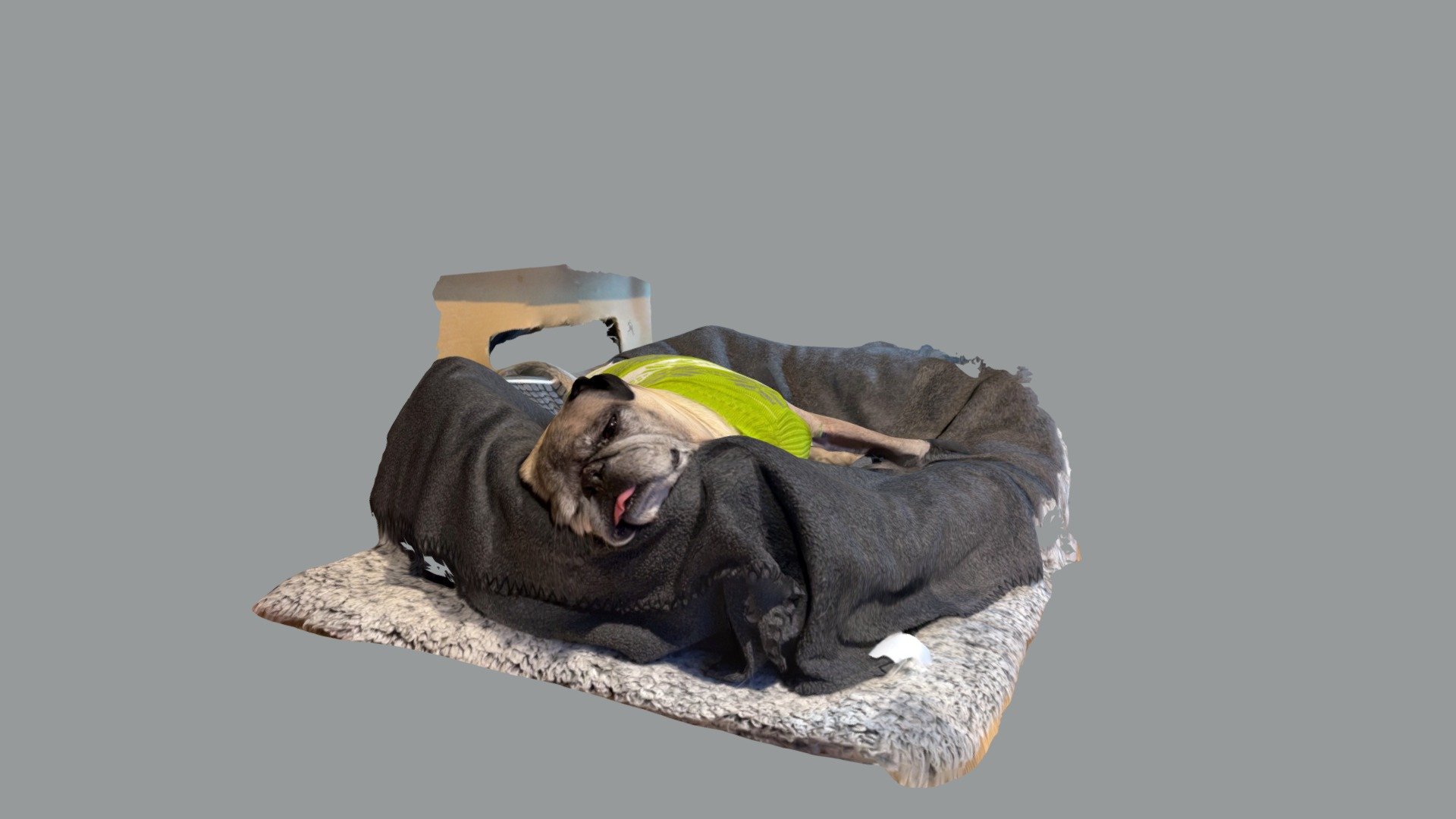 Wedge The Sleeparian