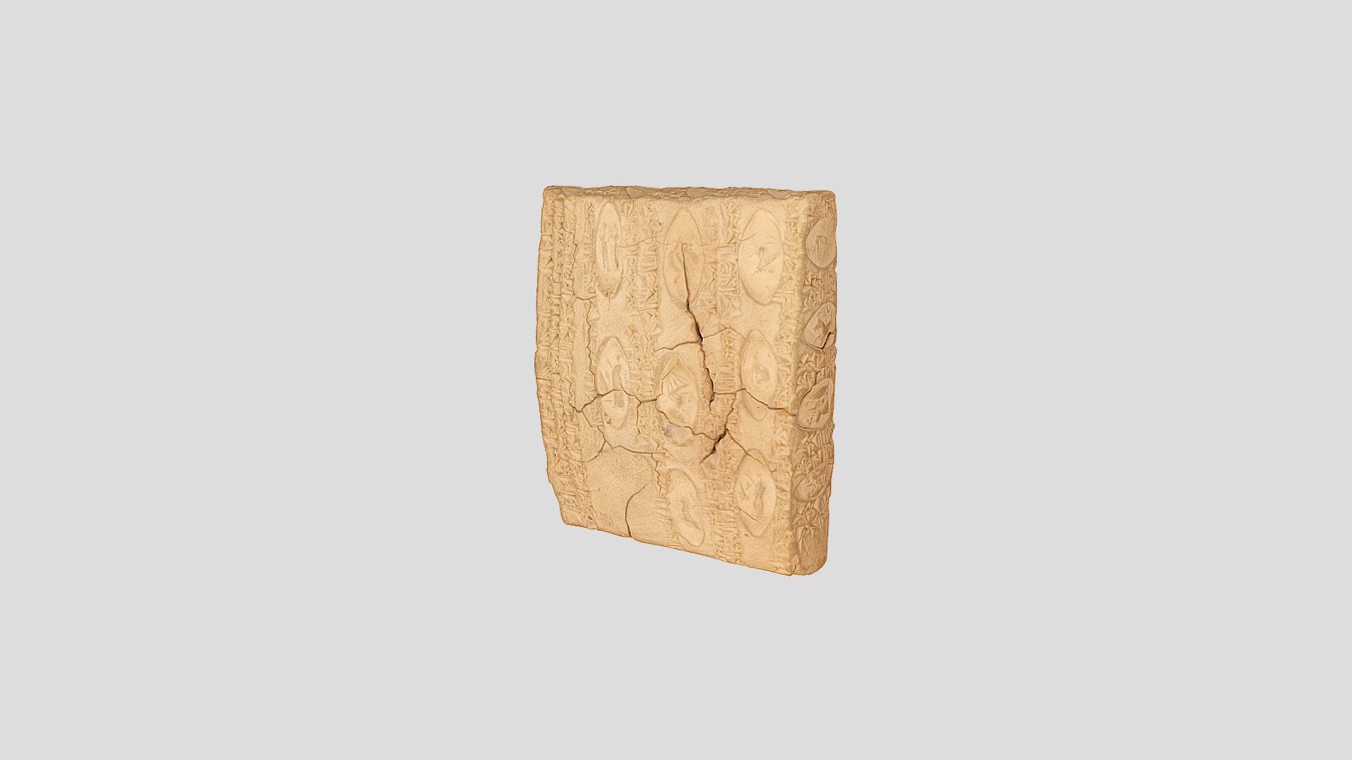 YPM BC 001777 (MLC 01780)