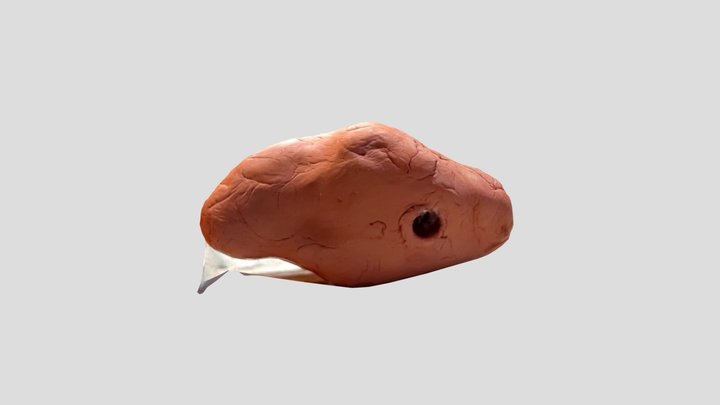 p1 3D Model