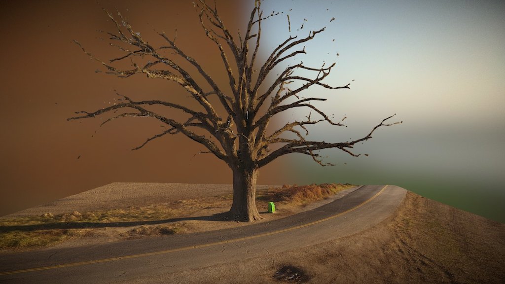 The Big Oak Tree - 3D model by ecpaerialsolutions [2b57adb] - Sketchfab